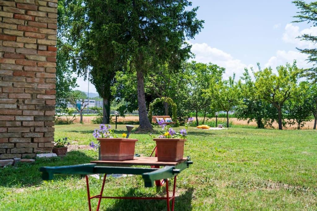 Casale Passalacqua Pesaro By Yohome 라 토라치아 외부 사진